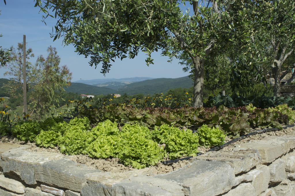 카솔레 델사 Agriturismo Erta 빌라 외부 사진